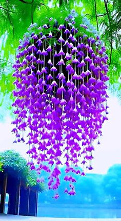 purple flowers are hanging from the ceiling in front of some water and trees with blue sky