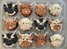 twelve cupcakes decorated to look like cows with horns and flowers in the shape of heads