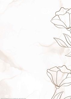 an abstract floral background with lines and flowers