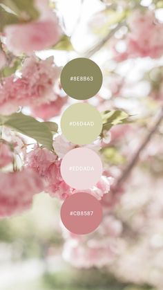 some pink flowers and green leaves on a branch with the words hello in different languages