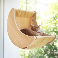 a cat sleeping in a wooden hanging chair