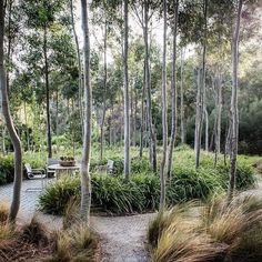 an outdoor seating area surrounded by trees and grass