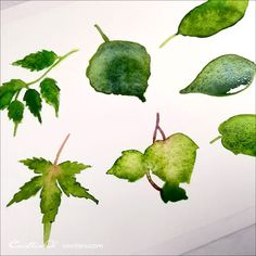 watercolor painting of green leaves on white paper