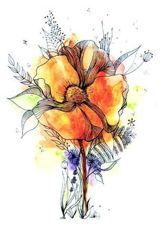 an orange flower with watercolor and ink on paper, in front of a white background