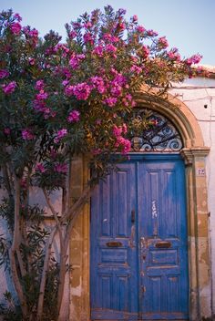 an old building with a blue door and pink flowers on the outside wall, next to a tree