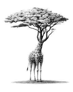 a drawing of a giraffe standing next to a tree with lots of leaves on it