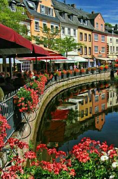 flowers are blooming along the water in front of buildings and tables with umbrellas