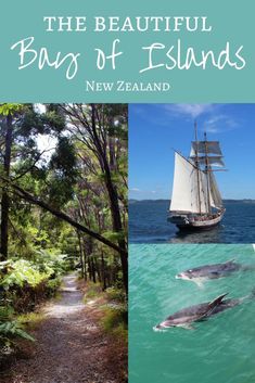 the beautiful bung of islands in new zealand with pictures of dolphins and sailboats