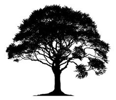 a black and white silhouette of a tree