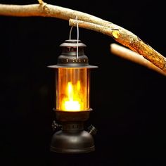 an old fashioned lantern hanging from a tree branch with the light on it's side