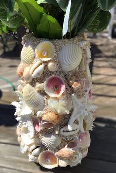 a vase filled with lots of sea shells and green leaves on top of a wooden table