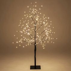 a lighted tree with white lights on it