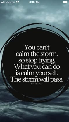 a quote that reads you can't calm the storm so stop trying what you can do is calm yourself