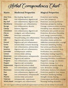 Magickal Correspondences, Medical Herbs, Magic Spell Book, Magic Herbs, Under Your Spell