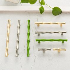 several different types of toothbrushes are arranged on a white surface next to a green plant