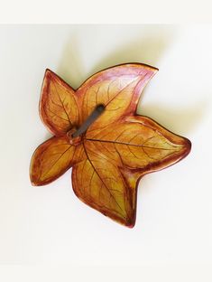 a clock made out of leaves on a white surface