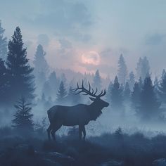 Elk Pictures: Untamed Beauty in 4K Detail Elk Silhouette, Adventure Art, Mountain Stream, Wildlife Artists, Breathtaking Beauty, Nature Art Painting, Raw Beauty, The Untamed