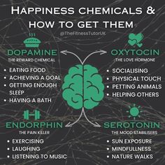 Happiness Chemicals, Mental Wellness, Emotional Health, Health And Wellbeing, Holistic Health, The Words