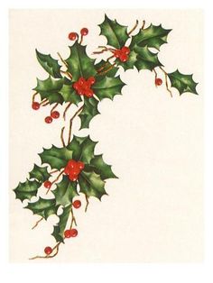 a painting of holly with red berries and green leaves