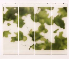 four panels with green leaves on them in front of a white wall and window pane