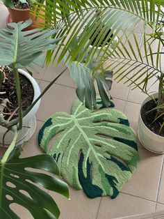 there is a green rug on the floor next to some plants and potted plants