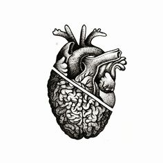 a drawing of a human heart with an arrow sticking out of it's side