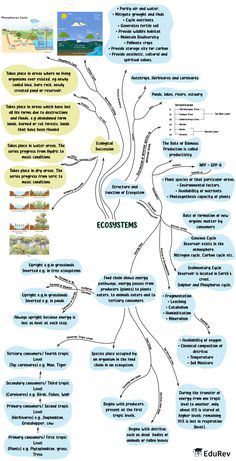 the mind map is shown with many different things in it