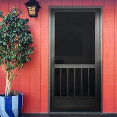 a potted plant sitting next to a black door on a pink building with a blue and white striped vase