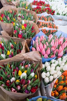 many different colored tulips are on display at the flower market, with brown paper bags full of them