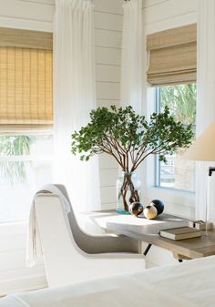 a living room with white walls and curtains on the windowsill, a small tree in a vase next to a couch