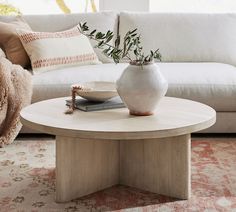 a living room with a couch, coffee table and pillows on the carpeted floor