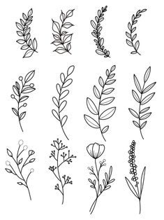 the different types of plants that are drawn in black ink on a white background, each with