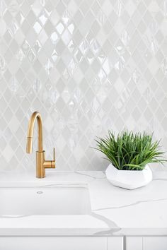 a white sink with a gold faucet next to a potted plant on the counter