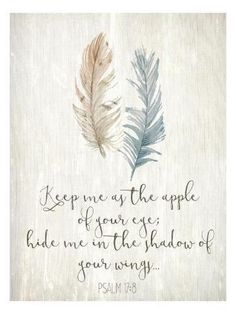 a painting with two feathers on it that says, keep me as the apple before your eye hide me in the shadow of your wing