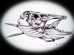 a drawing of a fish skeleton with its mouth open and it's teeth exposed