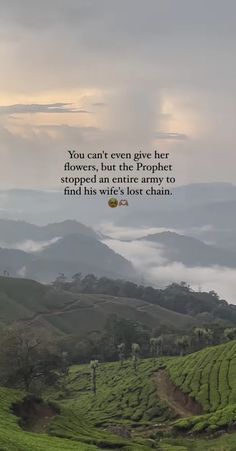 an image of a tea plantation with the quote you can't even give her