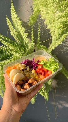 a person holding up a plastic container filled with food and veggies on top of it