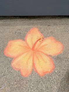 an orange flower on the ground next to a black door