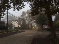 a foggy street with houses and trees in the background