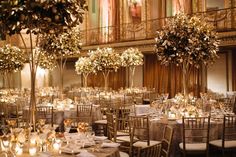 tables and chairs are set up for a formal function with tall trees in the center