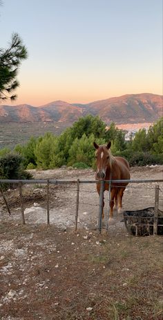 a brown horse standing next to a fence on top of a dirt field with mountains in the background