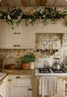 a kitchen with white cabinets and flowers on the wall above the stove top, potted plants hanging over the burner