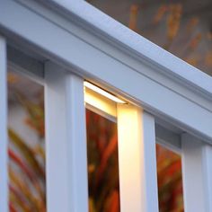 a close up of a window with the light shining on it's side and plants in the background