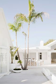 a white house with a palm tree in the foreground and chairs on the other side