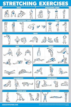 an exercise poster with instructions for stretching and exercises on the back, shoulders, arms and legs