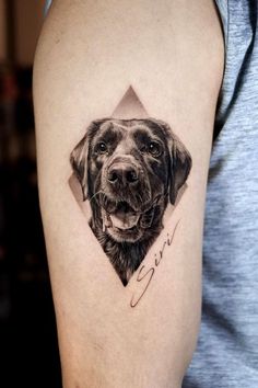 a dog's face is shown on the arm