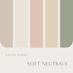 the color palette for soft neutrals