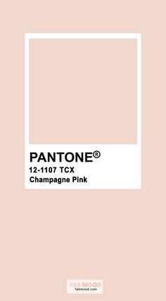 pantone's 12 - 11 x champagne pink wallpaper