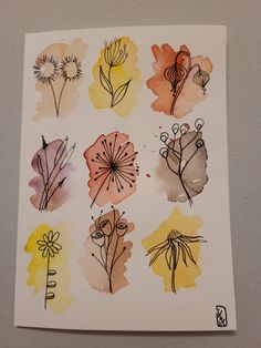 watercolor and ink drawings of flowers on white paper