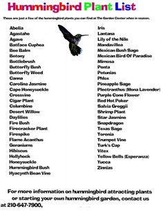 the hummingbird plant list is shown here